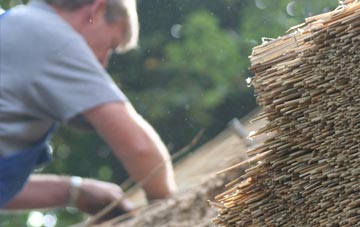 professional Frog Moor thatchers